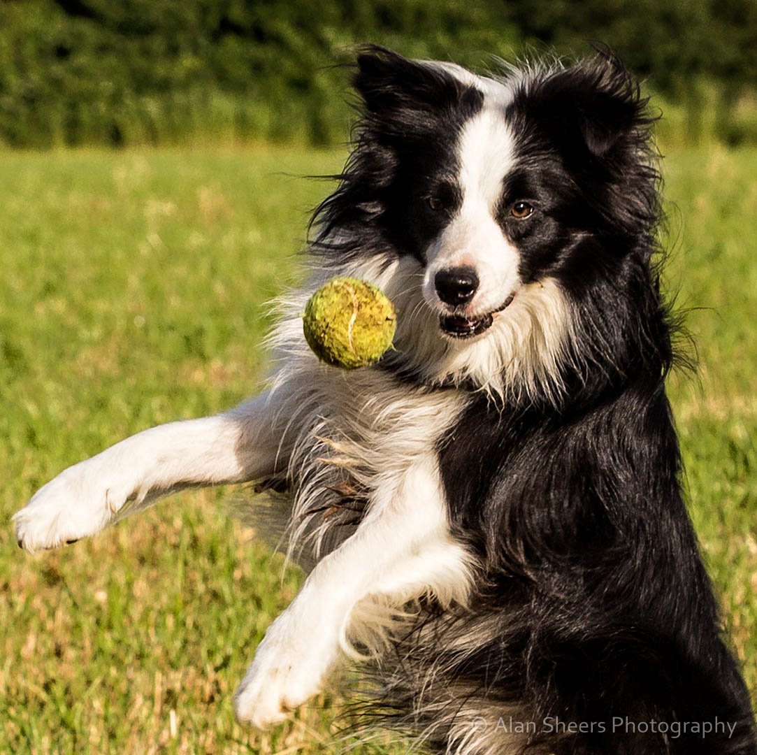 IMG_7165-Edit
