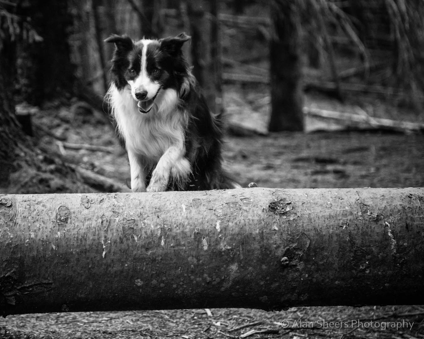 IMG_7401-Edit