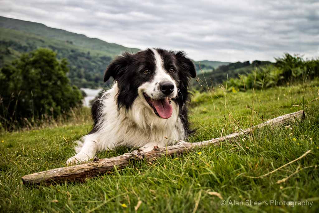 IMG_0581-Edit