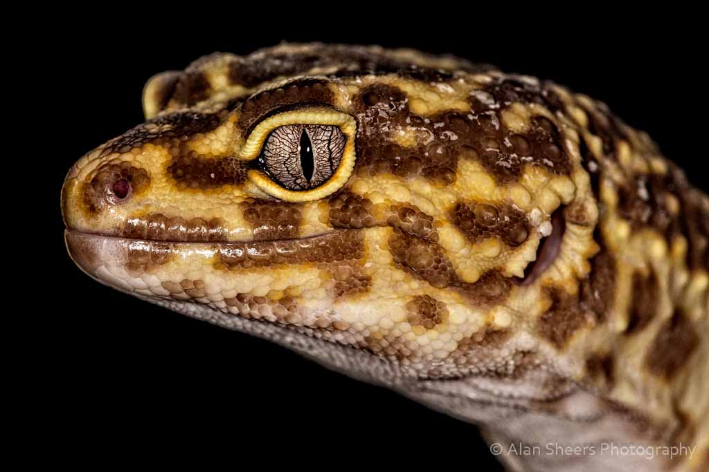 IMG_3053-Edit