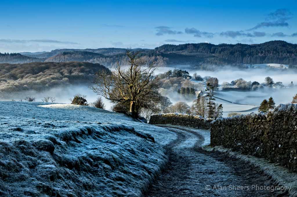IMG_5940-Edit-Edit