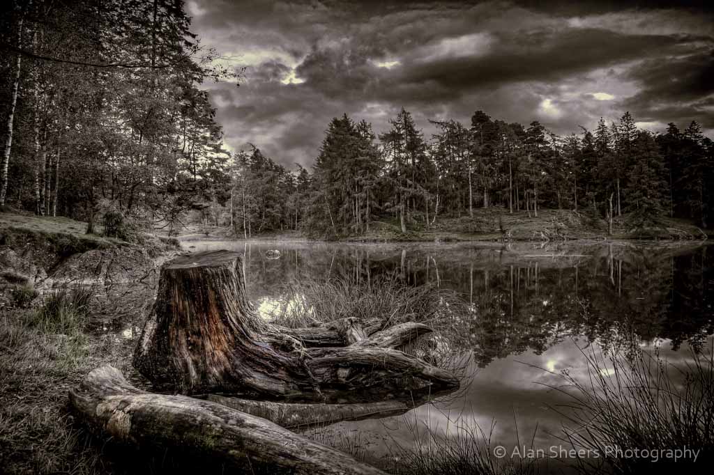 P1030588_89_90_tonemapped_edited-1-1
