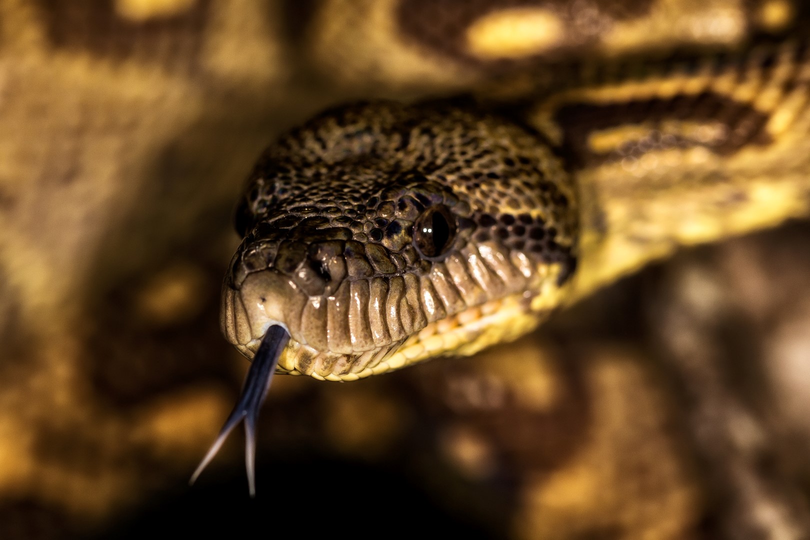 IMG_3010-Edit