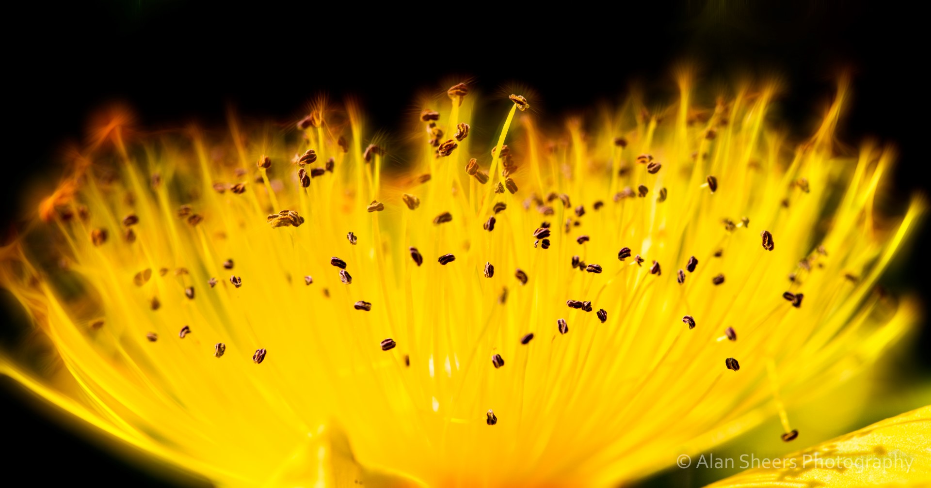 IMG_7283-Edit