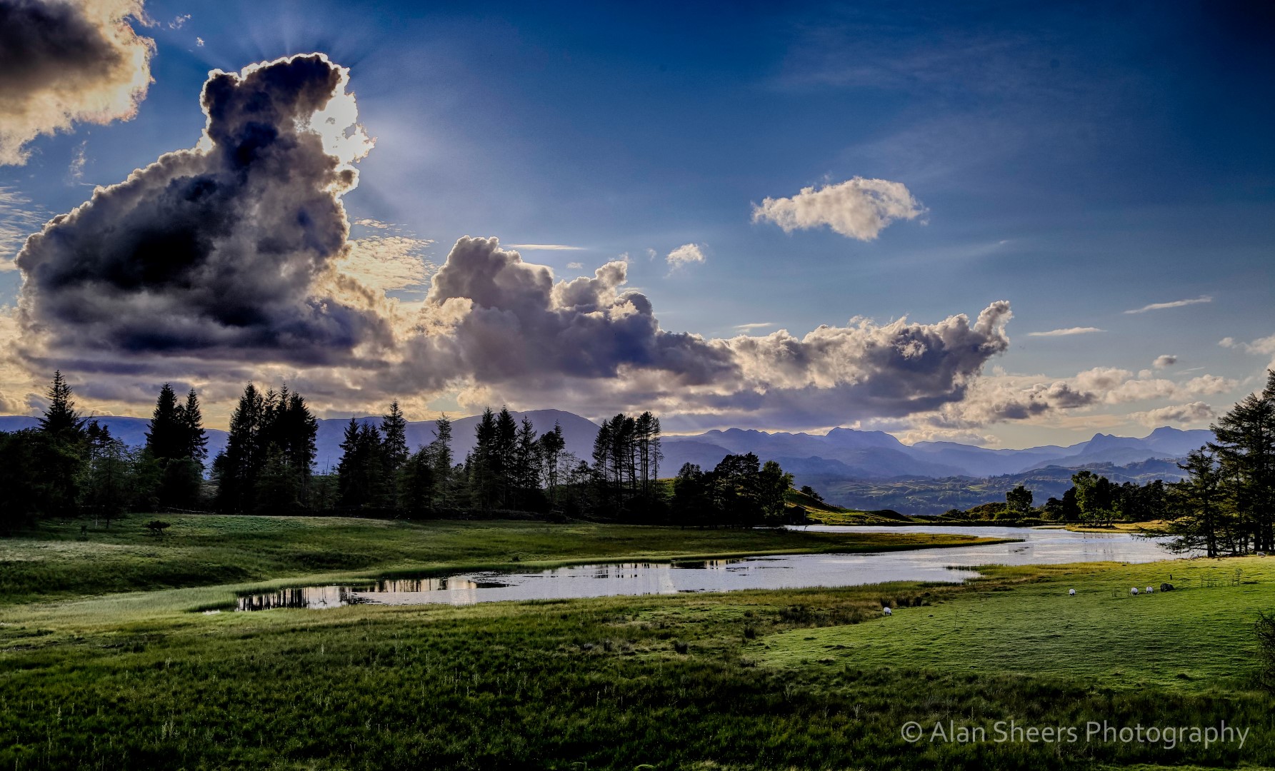 IMG_7447_HDR-Edit